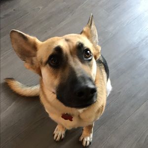 Meet your Posher, Jeffrey